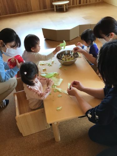 キャベツをちぎったよ！