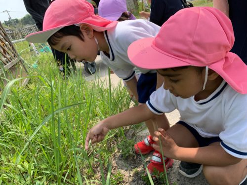 今日はお散歩☆