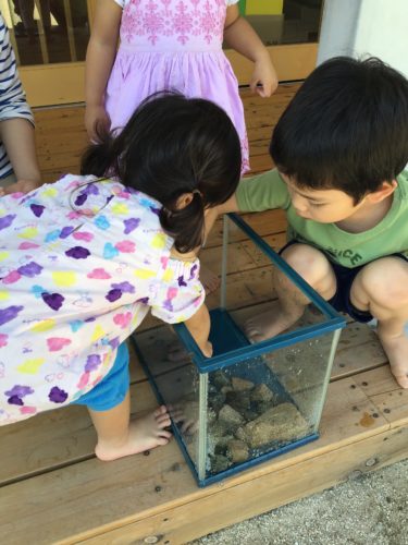 新しいお友達☆