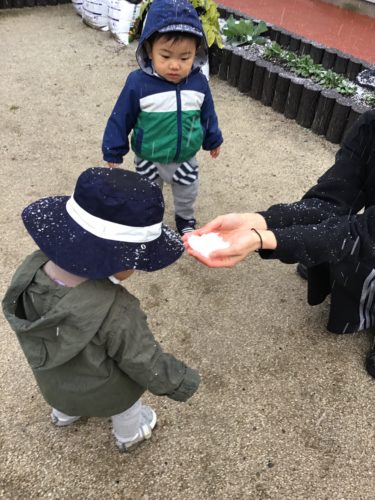 雪が降ったよ！