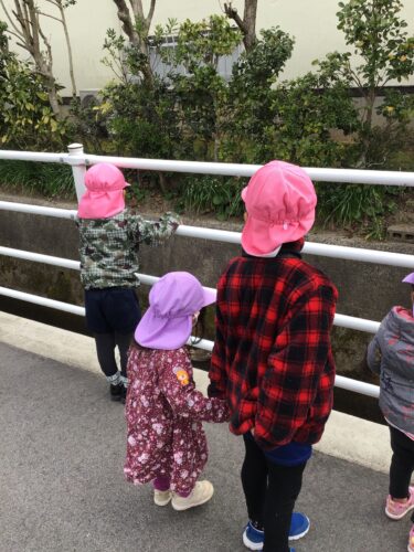 お散歩に行ったよ