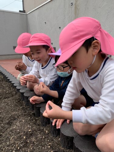 種をまきました