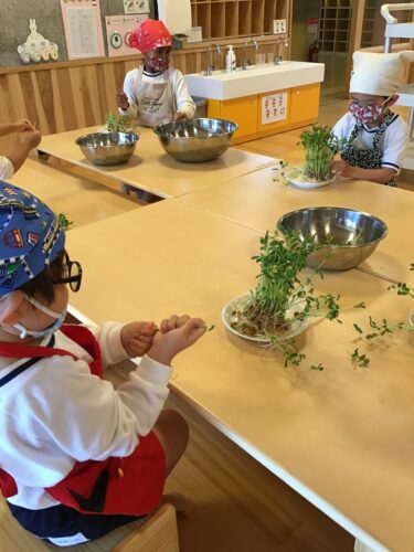 きりん組さんのクッキング