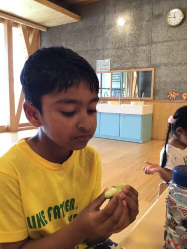 キュウリができました！