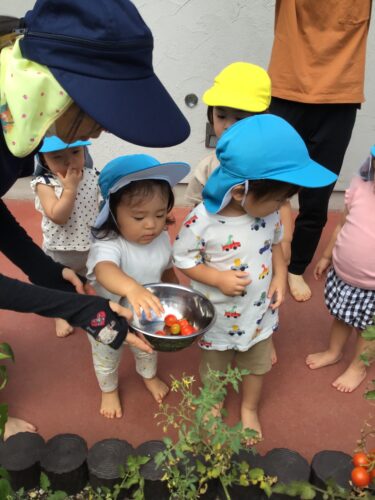 土曜日のほいくえん