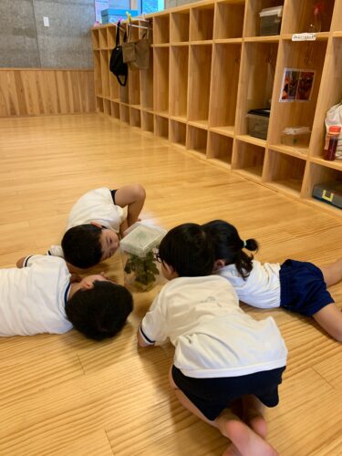 じっと観察中・・・