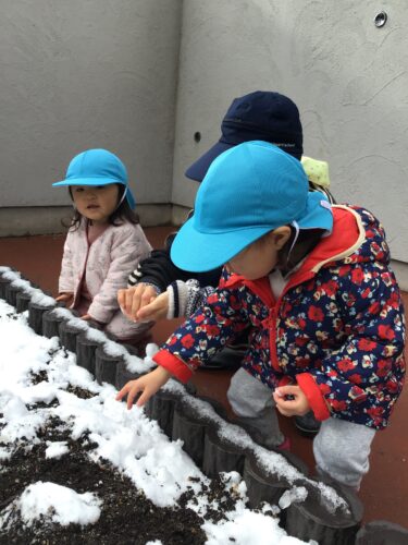 ちょっとだけ雪が降ったよ！