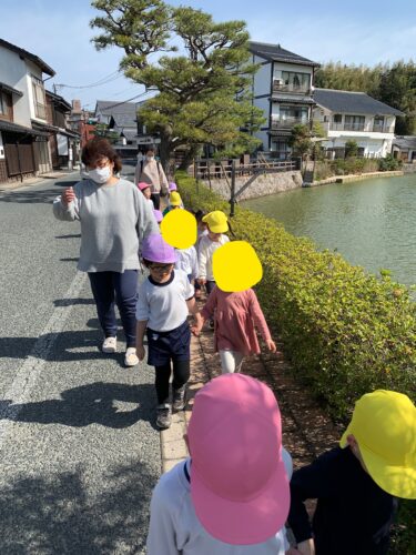 連日のお散歩日和