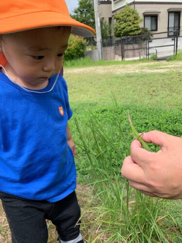 塚山古墳へお散歩