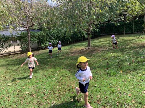 久しぶりのお散歩