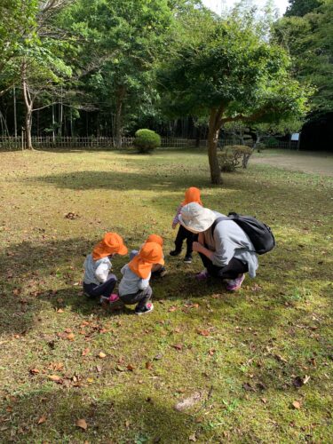 お散歩に行きました