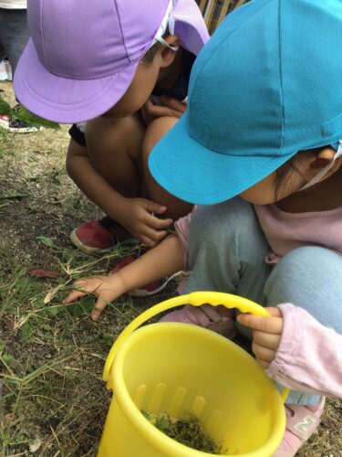 園庭で遊んだよ