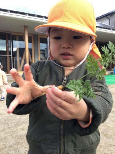 ニンジンちっちゃい！