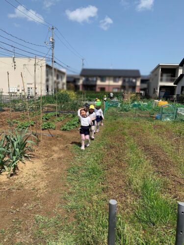 畑に行ったよ☆