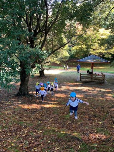 城山へ行ったよ