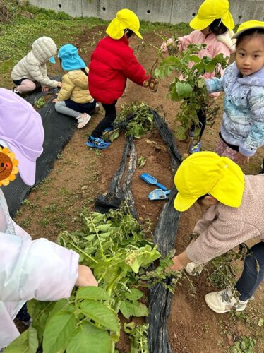 いもほりと大掃除