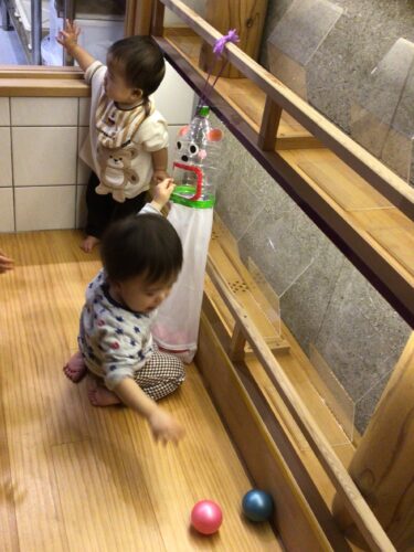 今日のひよこ組