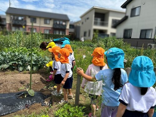 畑へいったよ。