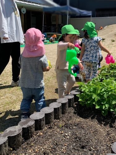 水やり楽しいね。