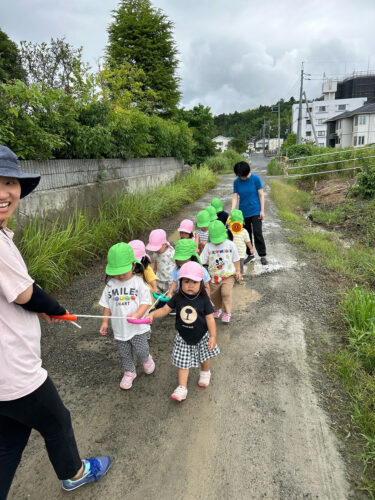 雨上がりのお散歩
