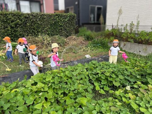 お散歩にいったよ。